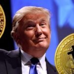 Blast From The Past? Analyst Identifies Pivotal Summer For VeChain With This Bullish Fractal