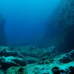 CryptoQuant CEO Predicts Where Bitcoin Price Is Headed, Is $265,000 Too Ambitious?