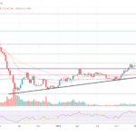 Understanding the Sustained Bearish Sentiment