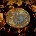 Solana (SOL) Smashes $200, Bulls Now Target $220–$250 Zone