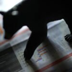 Crypto Analyst Warns XRP Investors Amid Market Retrace