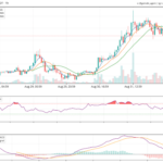 Is The Bitcoin Price Bottom In? Here’s What Social Sentiment Says