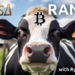 Bitcoin Recovery Builds – Can BTC Turn Momentum Into a Rally?