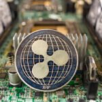 Bitcoin Dominance Dilemma – Why Capital Flows Back To BTC Before Fuelling Altcoin Rally