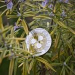 A Dormant Bitcoin Address Moves 400 BTC After Over A Decade