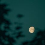 Ethereum Active Address Count Hits Seven-Month Low — What This Means