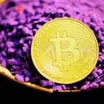 Ethereum Stalls In A Critical Zone As Breakout Structures Wait For Confirmation